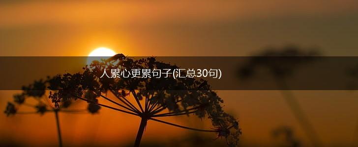 人累心更累句子(汇总30句),第1张