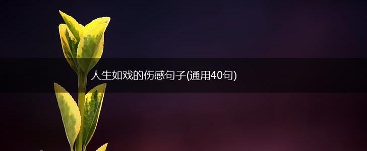 人生如戏的伤感句子(通用40句),第1张