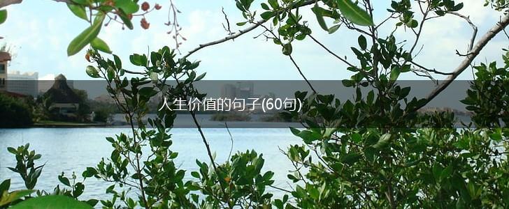 人生价值的句子(60句),第1张