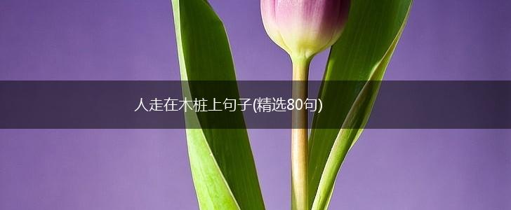 人走在木桩上句子(精选80句),第1张