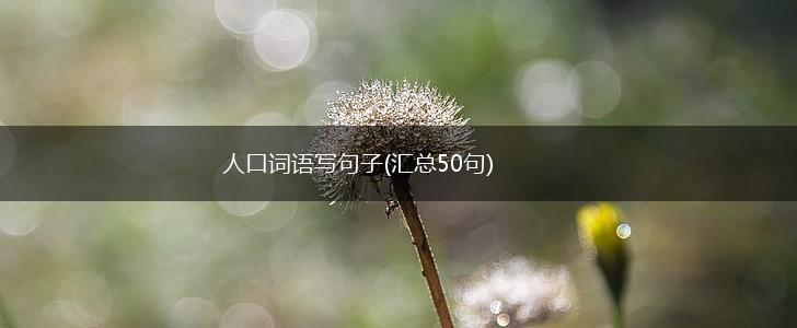 人口词语写句子(汇总50句),第1张