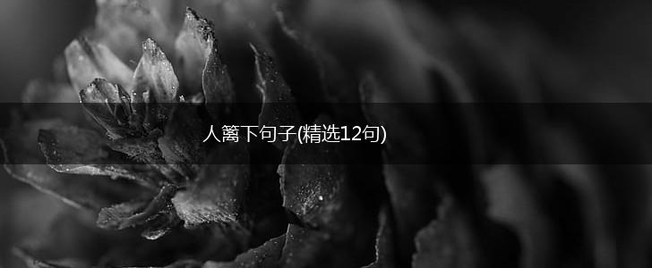 人篱下句子(精选12句),第1张