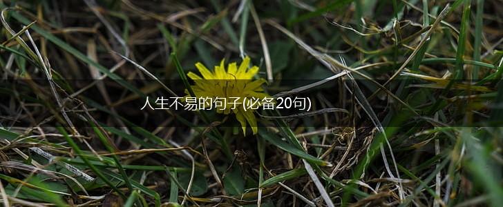 人生不易的句子(必备20句),第1张