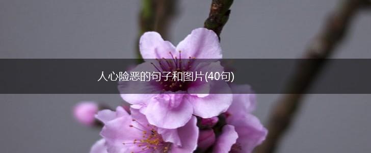 人心险恶的句子和图片(40句),第1张