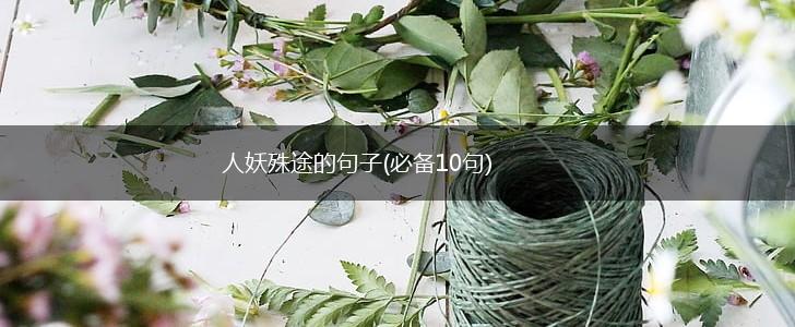 人妖殊途的句子(必备10句),第1张