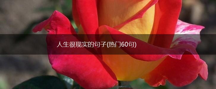 人生很现实的句子(热门60句),第1张