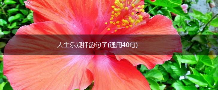 人生乐观押韵句子(通用40句),第1张