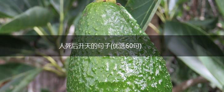 人死后升天的句子(优选60句),第1张