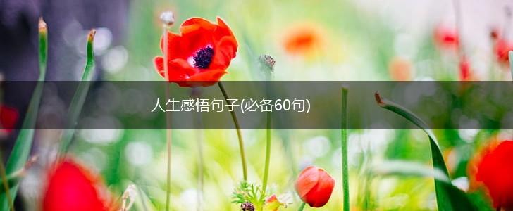 人生感悟句子(必备60句),第1张