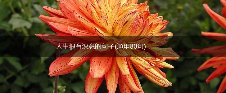 人生很有深意的句子(通用80句),第1张