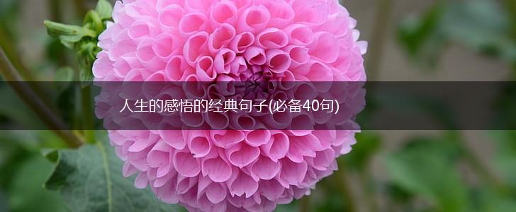 人生的感悟的经典句子(必备40句),第1张