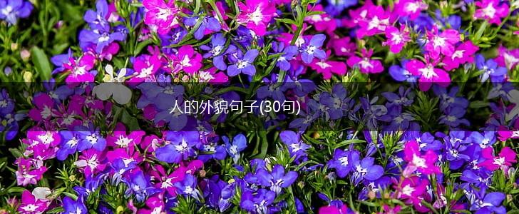 人的外貌句子(30句),第1张