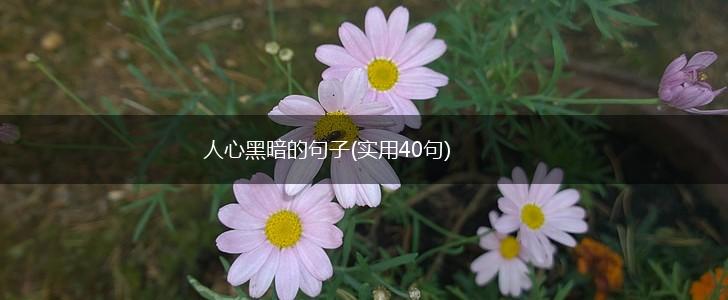 人心黑暗的句子(实用40句),第1张