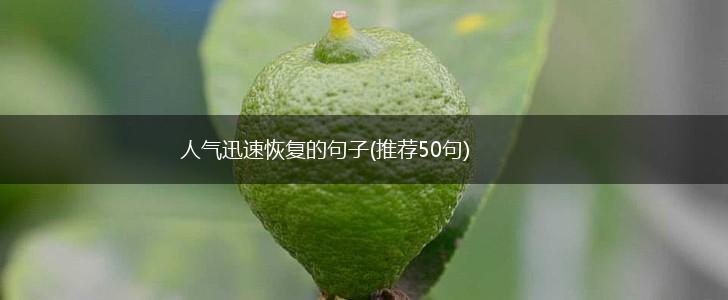 人气迅速恢复的句子(推荐50句),第1张