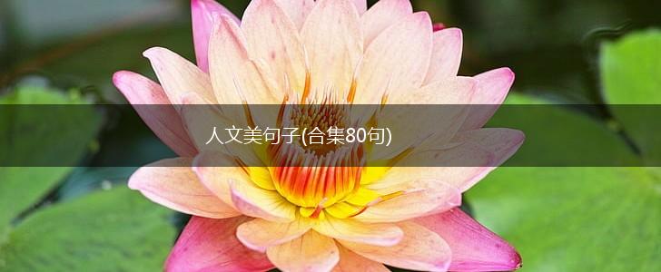 人文美句子(合集80句),第1张