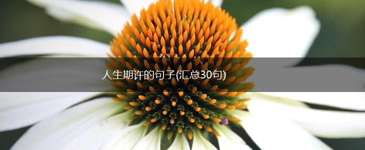 人生期许的句子(汇总30句),第1张