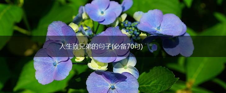 人生致兄弟的句子(必备70句),第1张