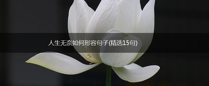人生无奈如何形容句子(精选15句),第1张