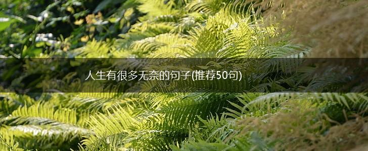 人生有很多无奈的句子(推荐50句),第1张