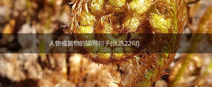 人物或景物的描写句子(优选22句),第1张