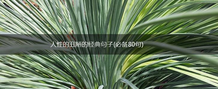人性的丑陋的经典句子(必备80句),第1张