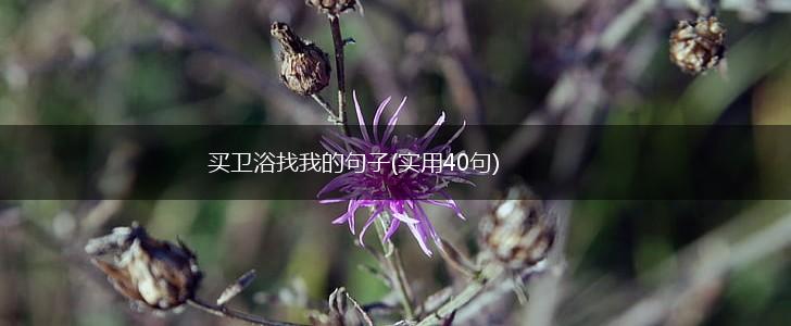 买卫浴找我的句子(实用40句),第1张