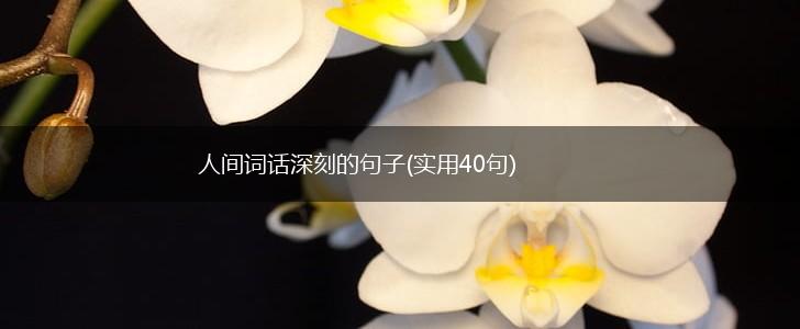 人间词话深刻的句子(实用40句),第1张
