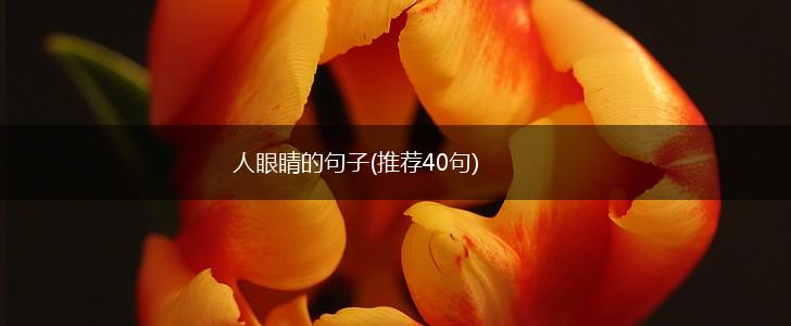 人眼睛的句子(推荐40句),第1张