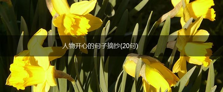 人物开心的句子摘抄(20句),第1张