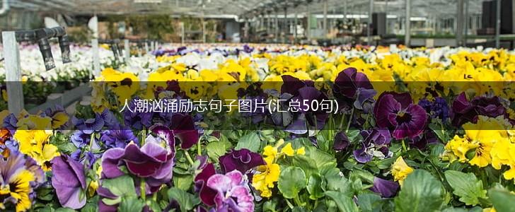 人潮汹涌励志句子图片(汇总50句),第1张