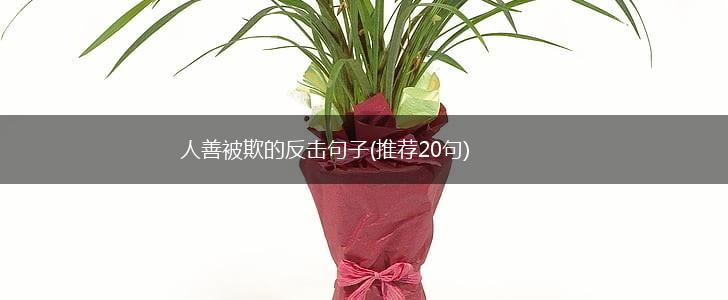 人善被欺的反击句子(推荐20句),第1张