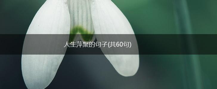 人生萍聚的句子(共60句),第1张