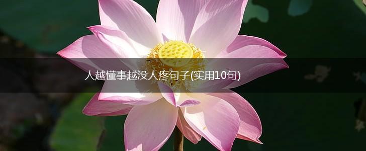 人越懂事越没人疼句子(实用10句),第1张