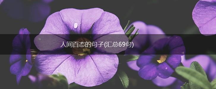人间百态的句子(汇总69句),第1张