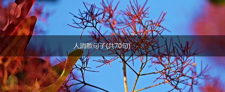人消散句子(共70句),第1张