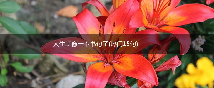 人生就像一本书句子(热门15句),第1张