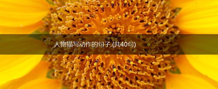 人物描写动作的句子.(共40句),第1张