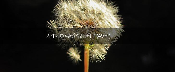 人生很短要珍惜的句子(49句),第1张
