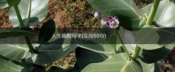 人生幽默句子(实用50句),第1张