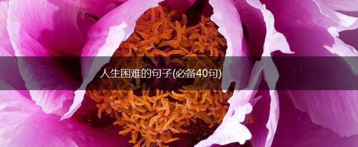 人生困难的句子(必备40句),第1张
