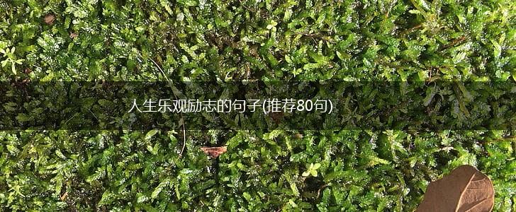 人生乐观励志的句子(推荐80句),第1张