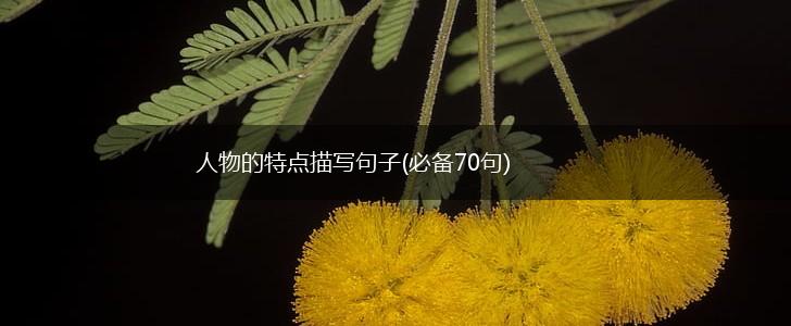 人物的特点描写句子(必备70句),第1张