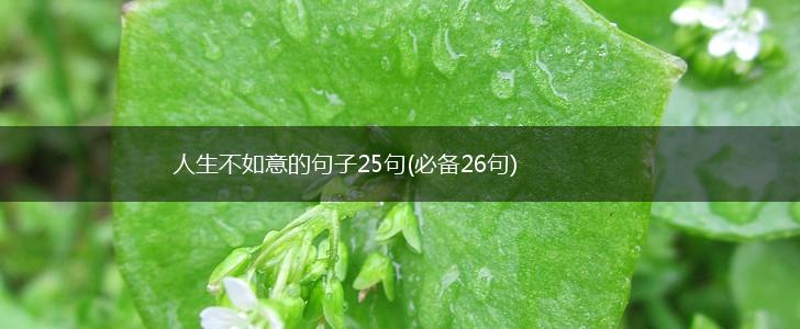 人生不如意的句子25句(必备26句),第1张