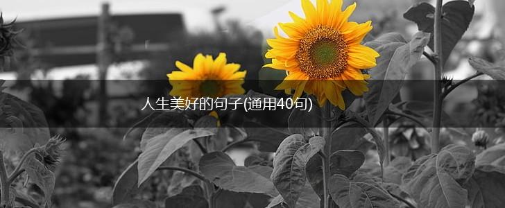 人生美好的句子(通用40句),第1张