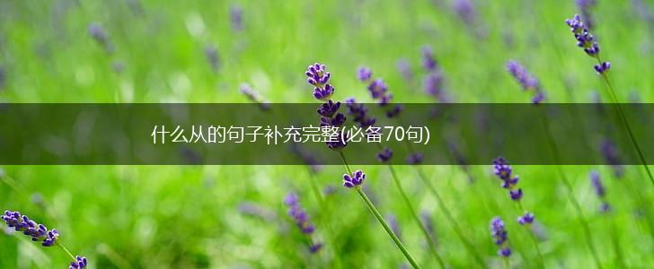 什么从的句子补充完整(必备70句),第1张