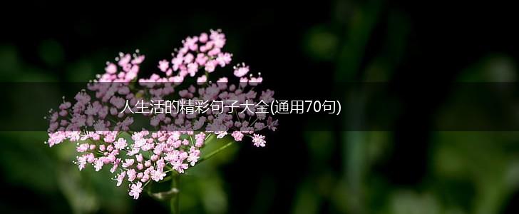 人生活的精彩句子大全(通用70句),第1张