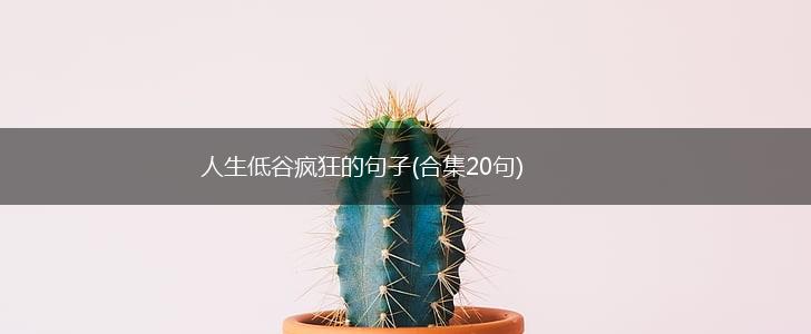 人生低谷疯狂的句子(合集20句),第1张