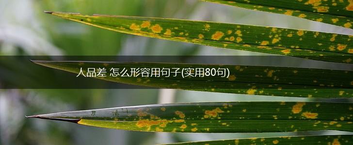 人品差 怎么形容用句子(实用80句),第1张