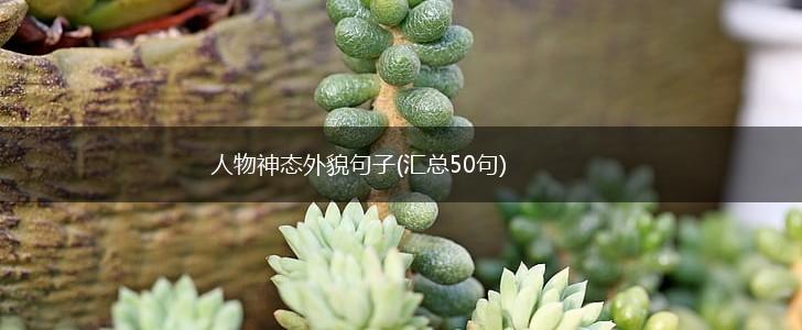人物神态外貌句子(汇总50句),第1张