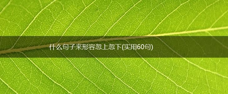 什么句子来形容忽上忽下(实用60句),第1张